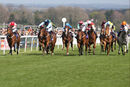Race 4 - Ava Go Joe (2)