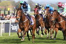 Race 4 - Ava Go Joe (3)