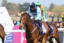 Race 4 - Ava Go Joe (4)