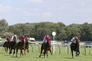 Race 4 - Bashkirova (3)