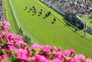 Race 4 - Battaash (2)
