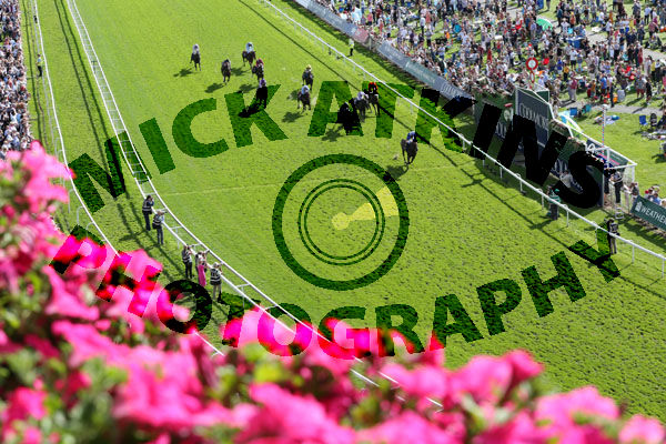 Race 4 - Battaash (3)