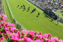 Race 4 - Battaash (3)