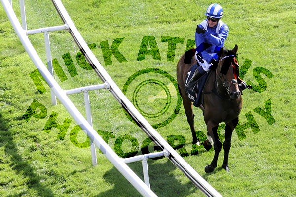 Race 4 - Battaash (5)