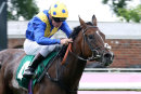 Race 4 - Bedwyyah (4)
