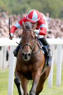 Race 4 - Believe In Love (3)