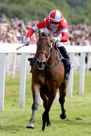 Race 4 - Believe In Love (6)