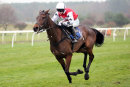 Race 4 - Bennys King (8)