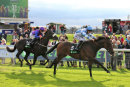 Race 4 - Brimham Rocks (4)