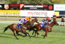 Race 4 - Burn Some Dust (10)