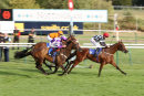 Race 4 - Burn Some Dust (12)