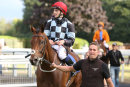 Race 4 - Burn Some Dust (14)