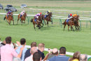 Race 4 - Burn Some Dust (3)