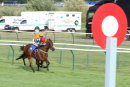 Race 4 - Burn Some Dust (5)