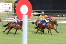 Race 4 - Burn Some Dust (6)