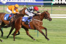 Race 4 - Burn Some Dust (7)