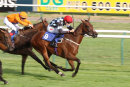 Race 4 - Burn Some Dust (8)