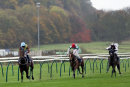Race 4 - Cape Islay (2)