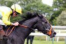 Race 4 - Carmela Soprano (15)