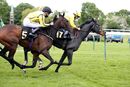 Race 4 - Carmela Soprano (16)