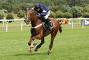 Race 4 - Casablanca Mix (11)