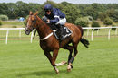 Race 4 - Casablanca Mix (13)