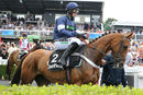Race 4 - Casablanca Mix (2)
