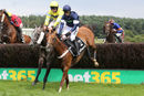 Race 4 - Casablanca Mix (4)