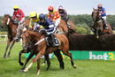 Race 4 - Casablanca Mix (6)