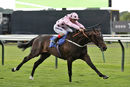 Race 4 - Champagne Marengo (10)