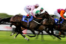Race 4 - Champagne Marengo (3)