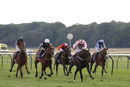 Race 4 - Champagne Marengo (4)