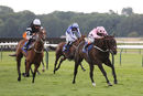 Race 4 - Champagne Marengo (6)