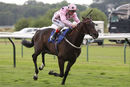 Race 4 - Champagne Marengo (8)