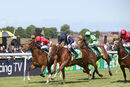 Race 4 - Chateau (4)