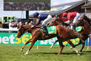 Race 4 - Chateau 71)
