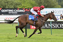 Race 4 - Classic Charm (6)