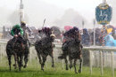 Race 4 - Copper Knight (4)