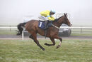 Race 4 - Cornerstone Lad (4)