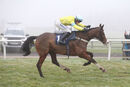 Race 4 - Cornerstone Lad (5)
