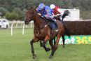 Race 4 - Da Baba Elephant (10)
