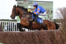 Race 4 - Da Baba Elephant (2)