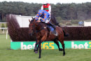 Race 4 - Da Baba Elephant (8)