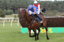 Race 4 - Da Baba Elephant (9)