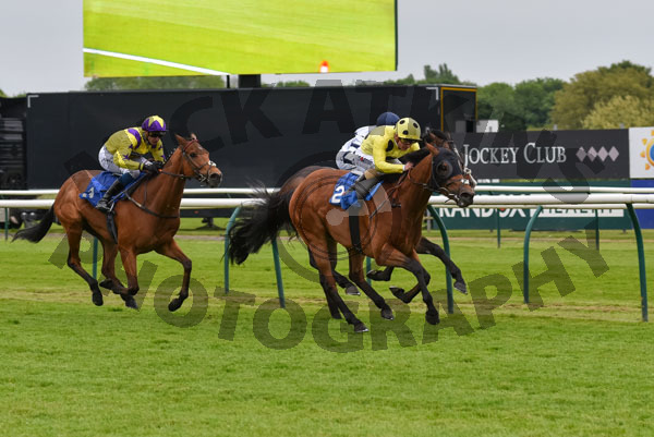 Race 4 - Daira Prince (9)