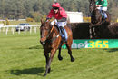 Race 4 - Dallas Cowboy (7)