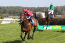 Race 4 - Dallas Cowboy (8)