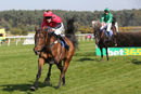 Race 4 - Dallas Cowboy (9)