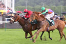 Race 4 - Dalton (11)