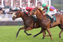 Race 4 - Dalton (12)